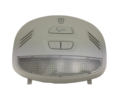 Блок освещения салона 2190 с ТКС 8450005651 